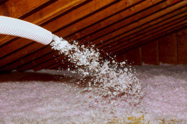 Best Insulation Repair Services  in Reading, PA
