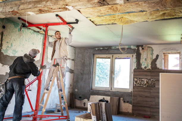 Best Insulation Contractors for Homes  in Reading, PA