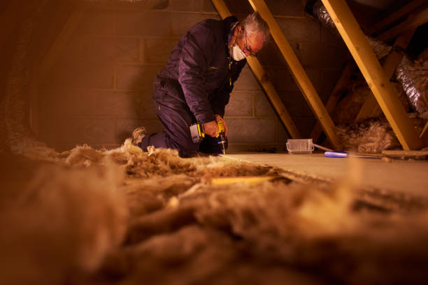 Best Insulation Contractor Near Me  in Reading, PA
